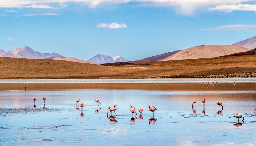 Atacama Desert, Chile